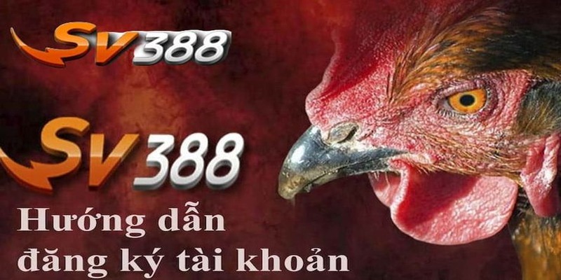 Hướng dẫn chi tiết về việc đăng ký SV388 cho người mới