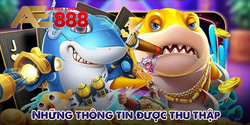 Những thông tin được thu thập