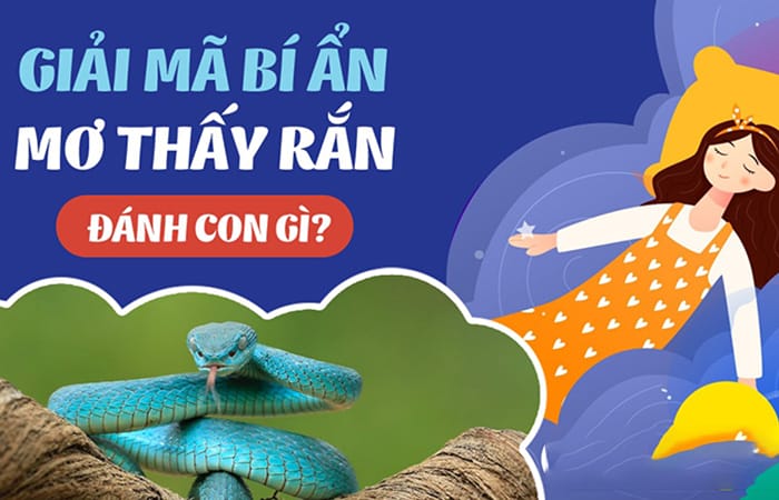Giải mã giấc mơ: bà bầu nằm mơ thấy rắn đánh con gì?