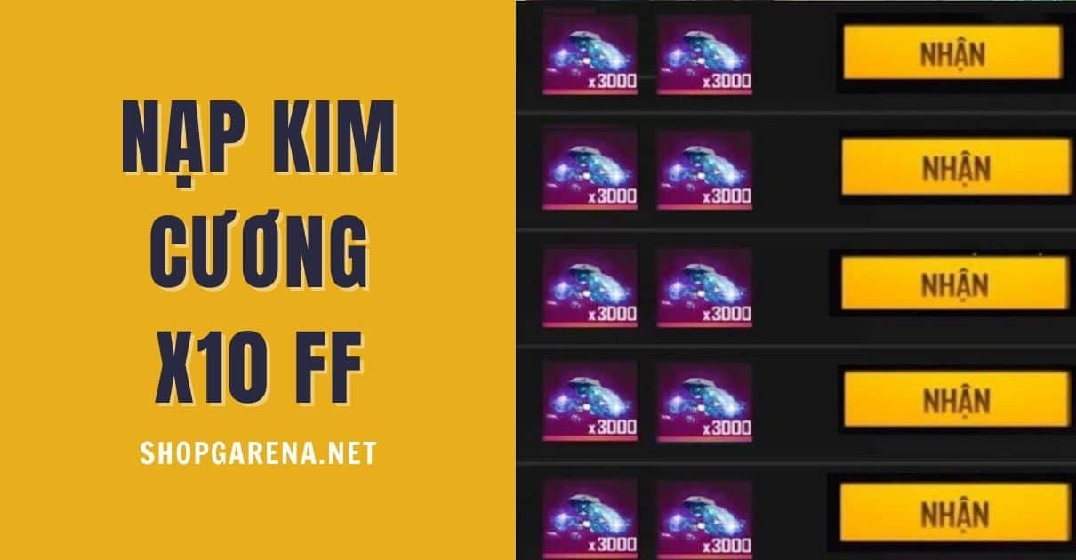 Nap Kim Cuong X10 FF