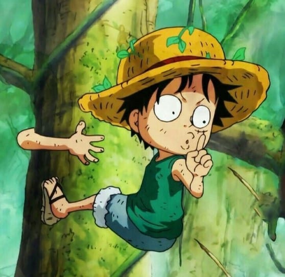 Avatar Luffy Hồi Nhỏ