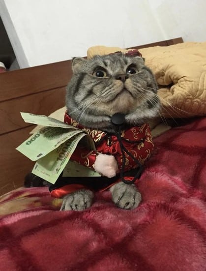 Chu Meo Om Tien
