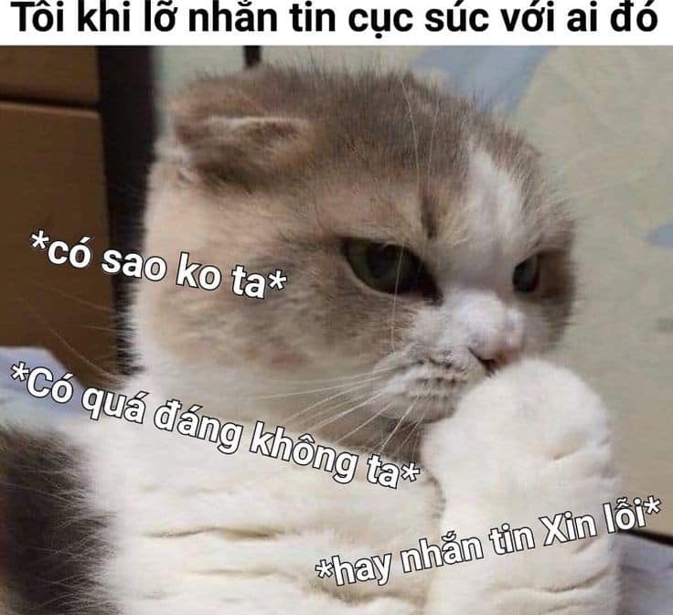 Meme Hoi Han