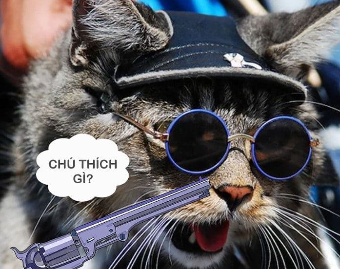 Meme Mèo Cầm Súng Chế Hài