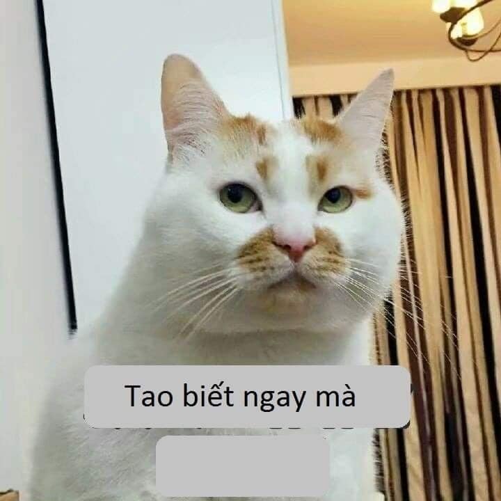 Meme Tao biet ngay ma