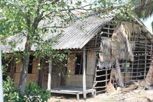 Bài văn phân tích Gặp lá cơm nếp (Ngữ văn 7) hay nhất