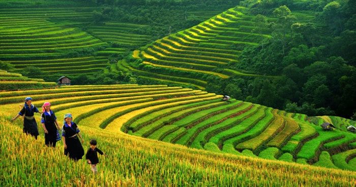 Bài soạn tham khảo số 4