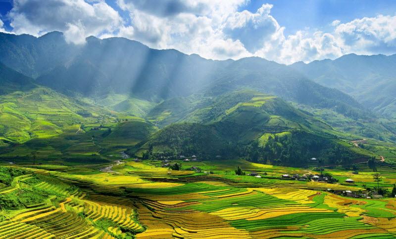 Bài tham khảo số 3