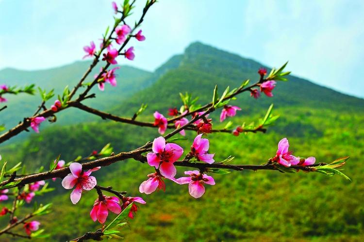 Bài văn tả mùa xuân số 3