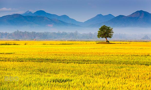Ngày tháng mười