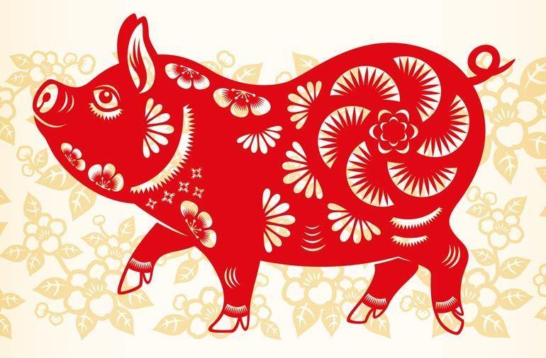 Tuổi Hợi