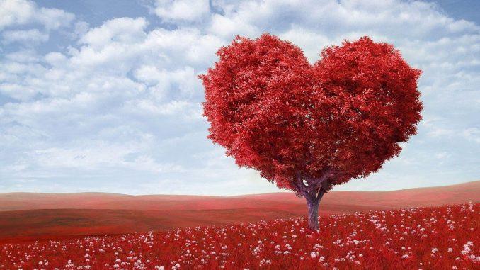 Không vì tình yêu mà quên đi cuộc sống xung quanh