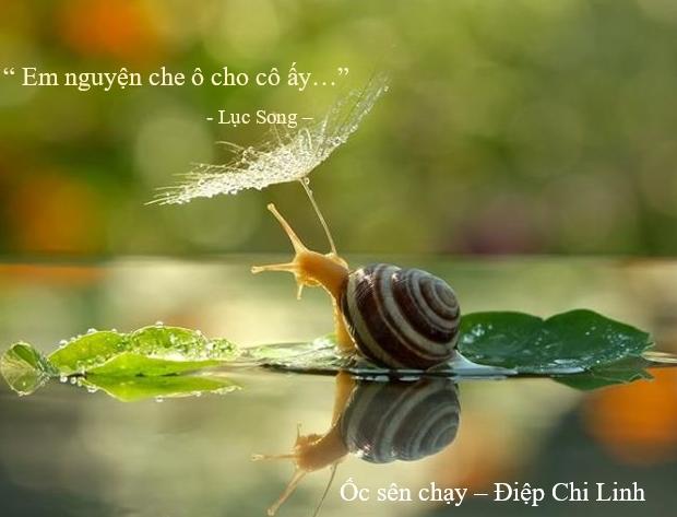 Lục Song - Ốc sên chạy, Điệp Chi Linh