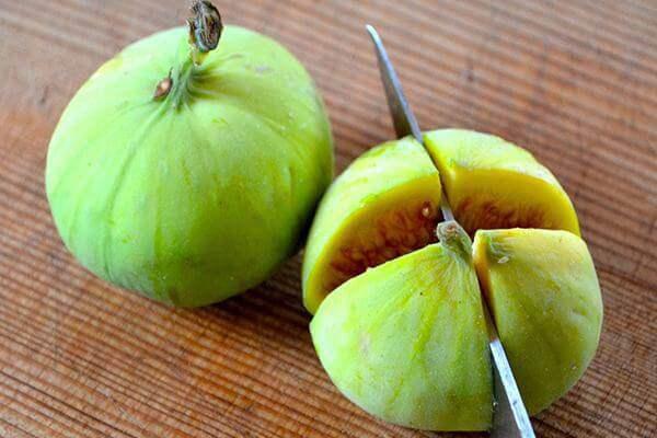 Bôi nhựa sung lên mụn cóc sẽ nhanh chóng biến mất