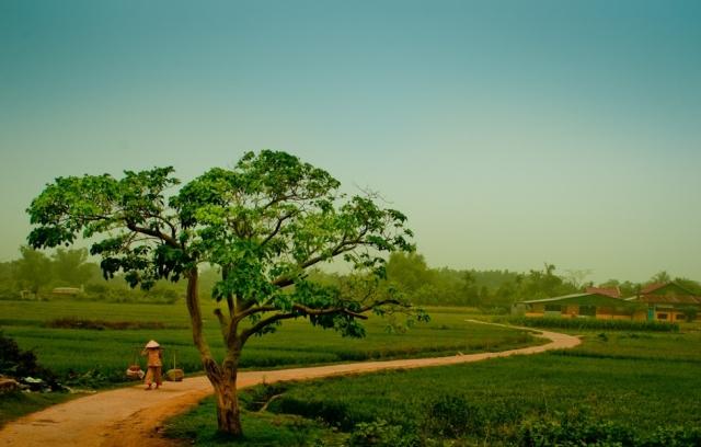 Miền quê