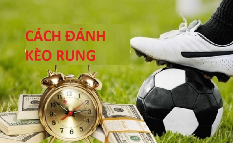 Kinh nghiệm soi kèo rung hiệu quả