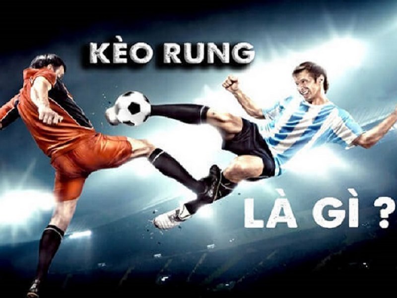 Mẹo soi kèo rung dễ thắng