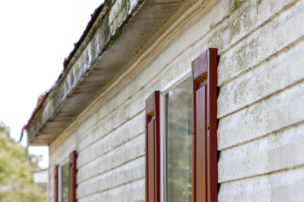 5 Roof & Siding Growths You Should Look Out For