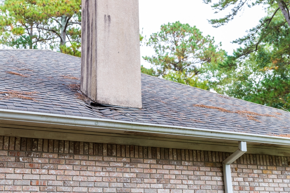 Warning Signs That Show You Has Damaged Your Roof