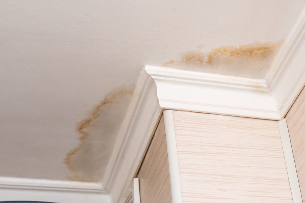 Why You Shouldn’t Ignore Water Stains on Your Ceiling